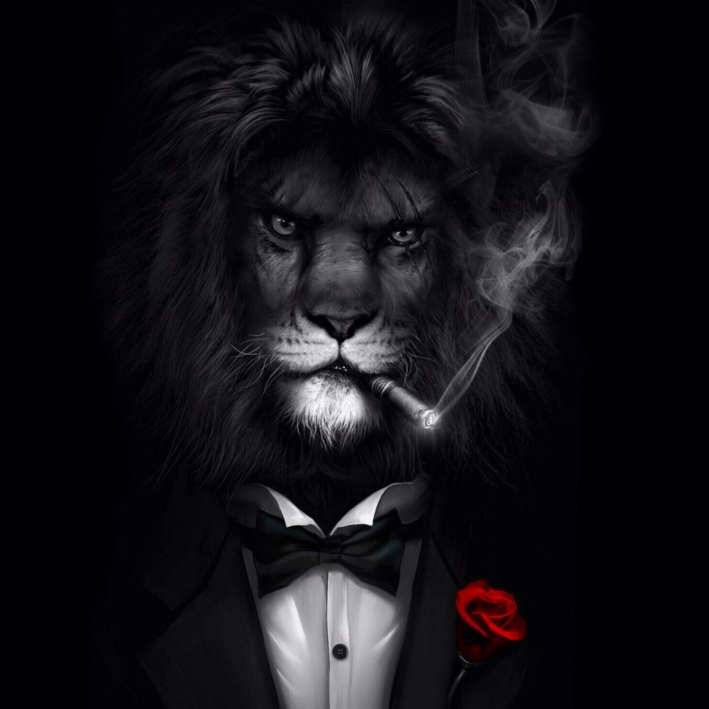 Отзывы об игорном заведении Lev 2026 Отзывы об игорном заведении Lev 2026